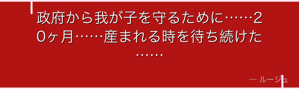 政府から我が子を守るために……20ヶ月……産まれる時を待ち続けた……
