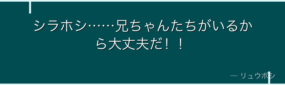 シラホシ……兄ちゃんたちがいるから大丈夫だ！！