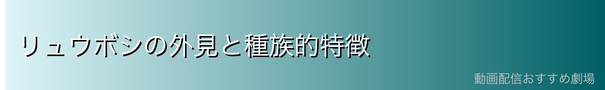 リュウボシの外見と種族的特徴