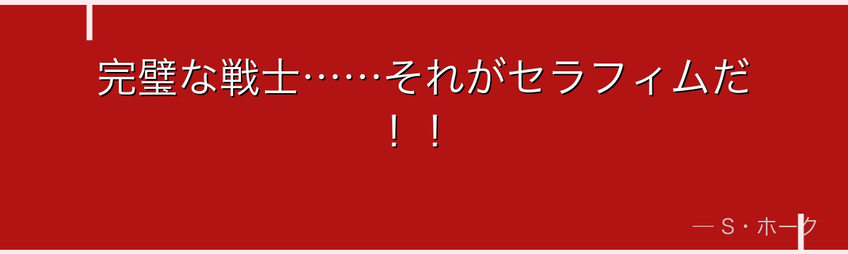 完璧な戦士……それがセラフィムだ!!