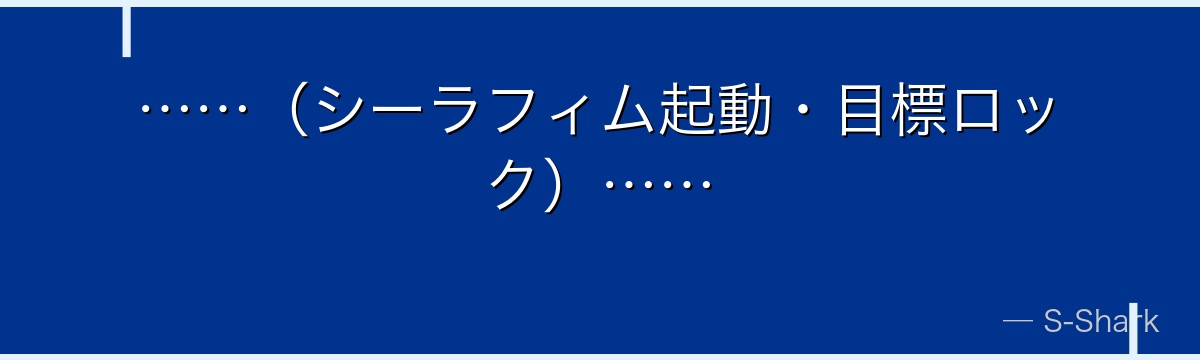 ……（シーラフィム起動・目標ロック）……