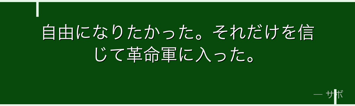 自由になりたかった。それだけを信じて革命軍に入った。
