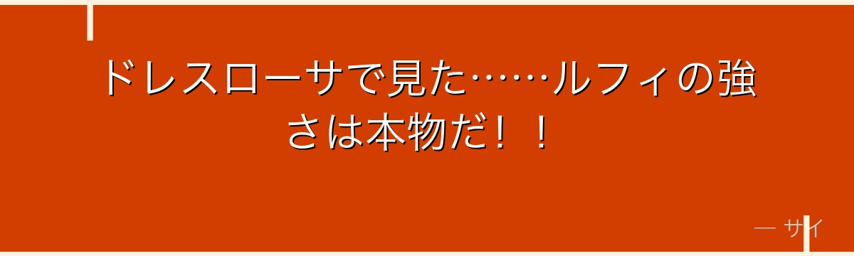 ドレスローサで見た……ルフィの強さは本物だ！！