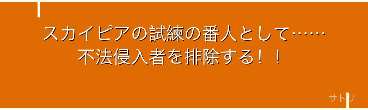 スカイピアの試練の番人として……不法侵入者を排除する！！