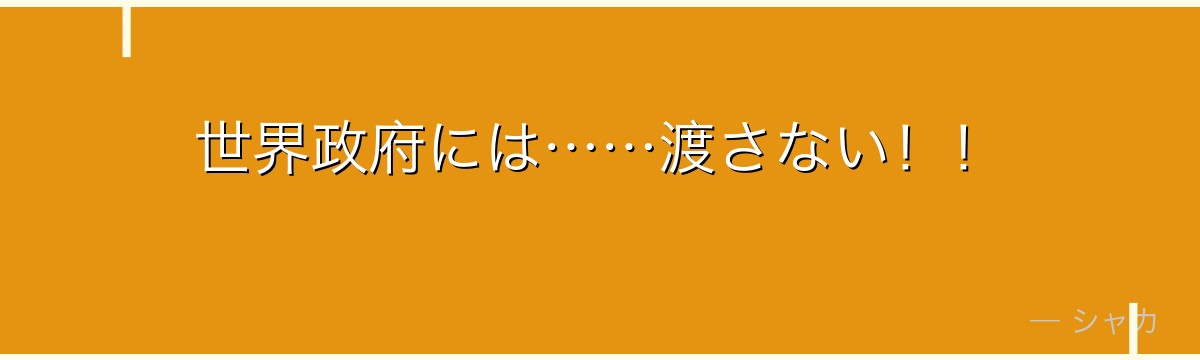 世界政府には……渡さない!!