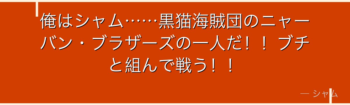 俺はシャム……黒猫海賊団のニャーバン・ブラザーズの一人だ！！ブチと組んで戦う！！