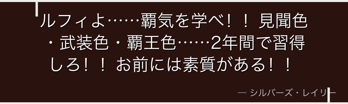 ルフィよ……覇気を学べ!!見聞色・武装色・覇王色……2年間で習得しろ!!お前には素質がある!!