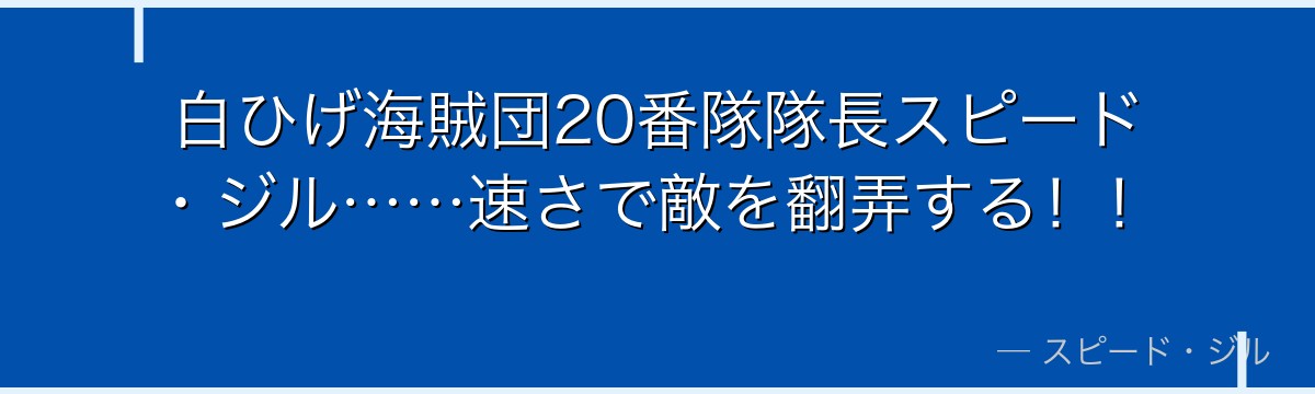 白ひげ海賊団20番隊隊長スピード・ジル……速さで敵を翻弄する！！