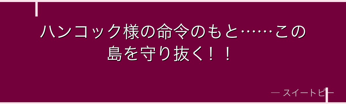ハンコック様の命令のもと……この島を守り抜く!!