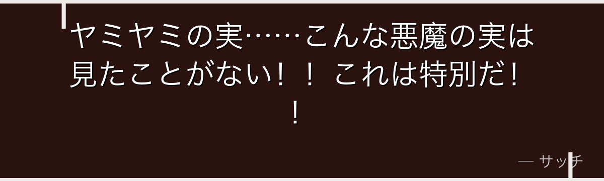ヤミヤミの実……こんな悪魔の実は見たことがない!!これは特別だ!!