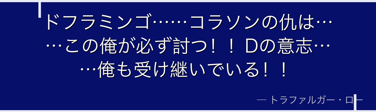 ドフラミンゴ……コラソンの仇は……この俺が必ず討つ！！Dの意志……俺も受け継いでいる！！