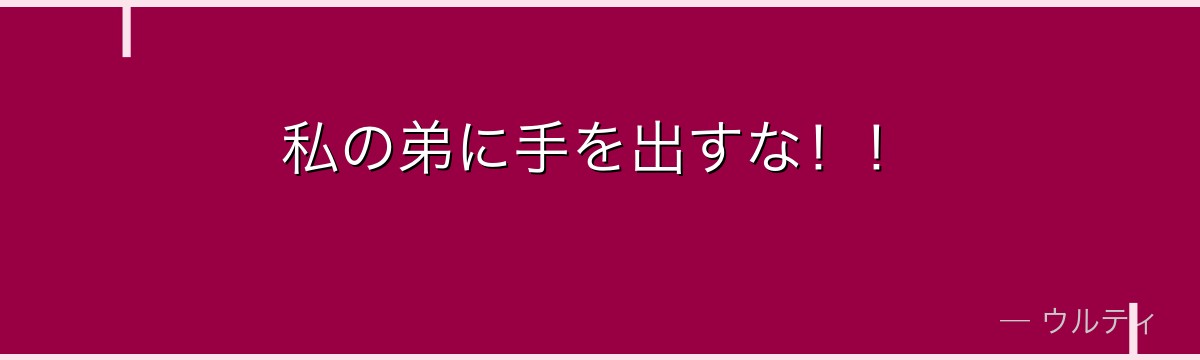 私の弟に手を出すな!!