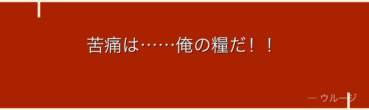 苦痛は……俺の糧だ!!