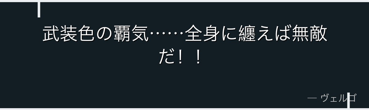 武装色の覇気……全身に纏えば無敵だ！！