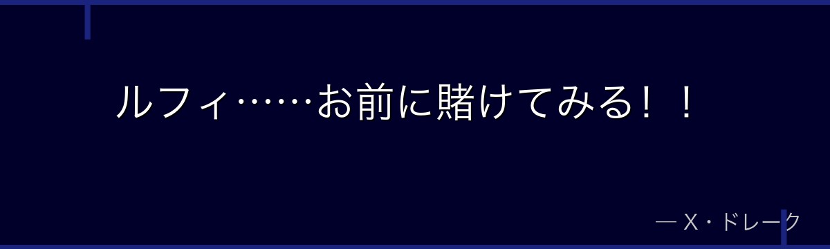 ルフィ……お前に賭けてみる！！