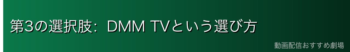 第3の選択肢:DMM TVという選び方