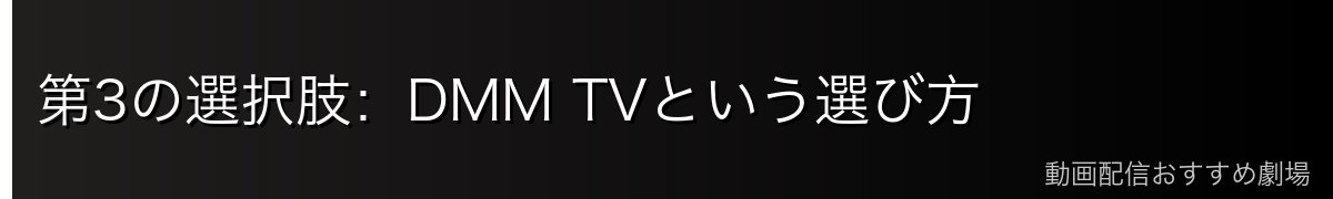 第3の選択肢：DMM TVという選び方