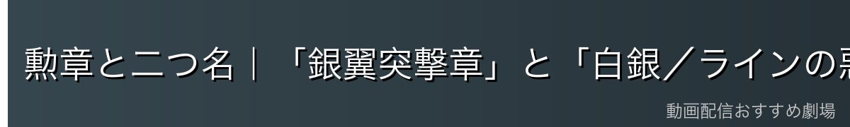 勲章と二つ名|「銀翼突撃章」と「白銀/ラインの悪魔」