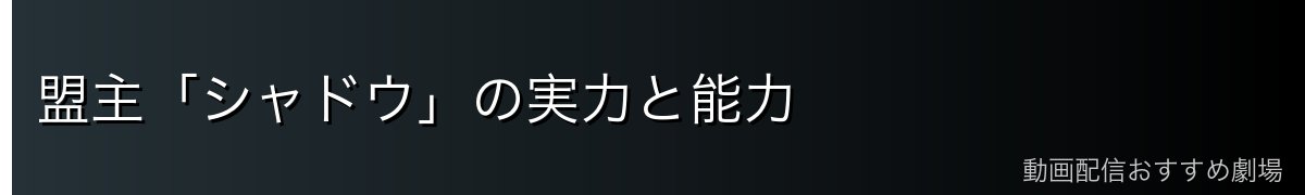 盟主「シャドウ」の実力と能力